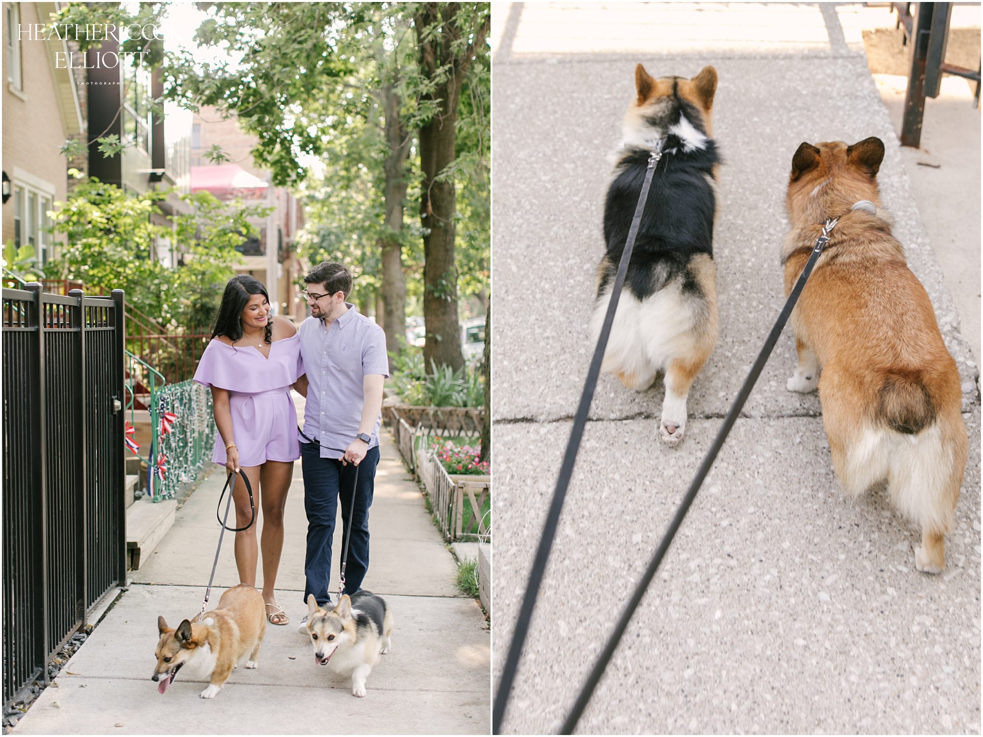 chicago engagement session with corgis