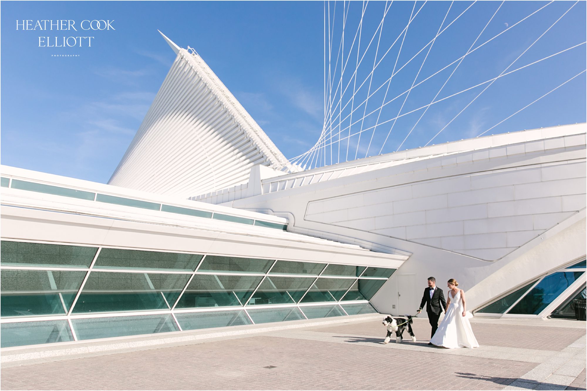 milwaukee art museum wedding reception with dog!