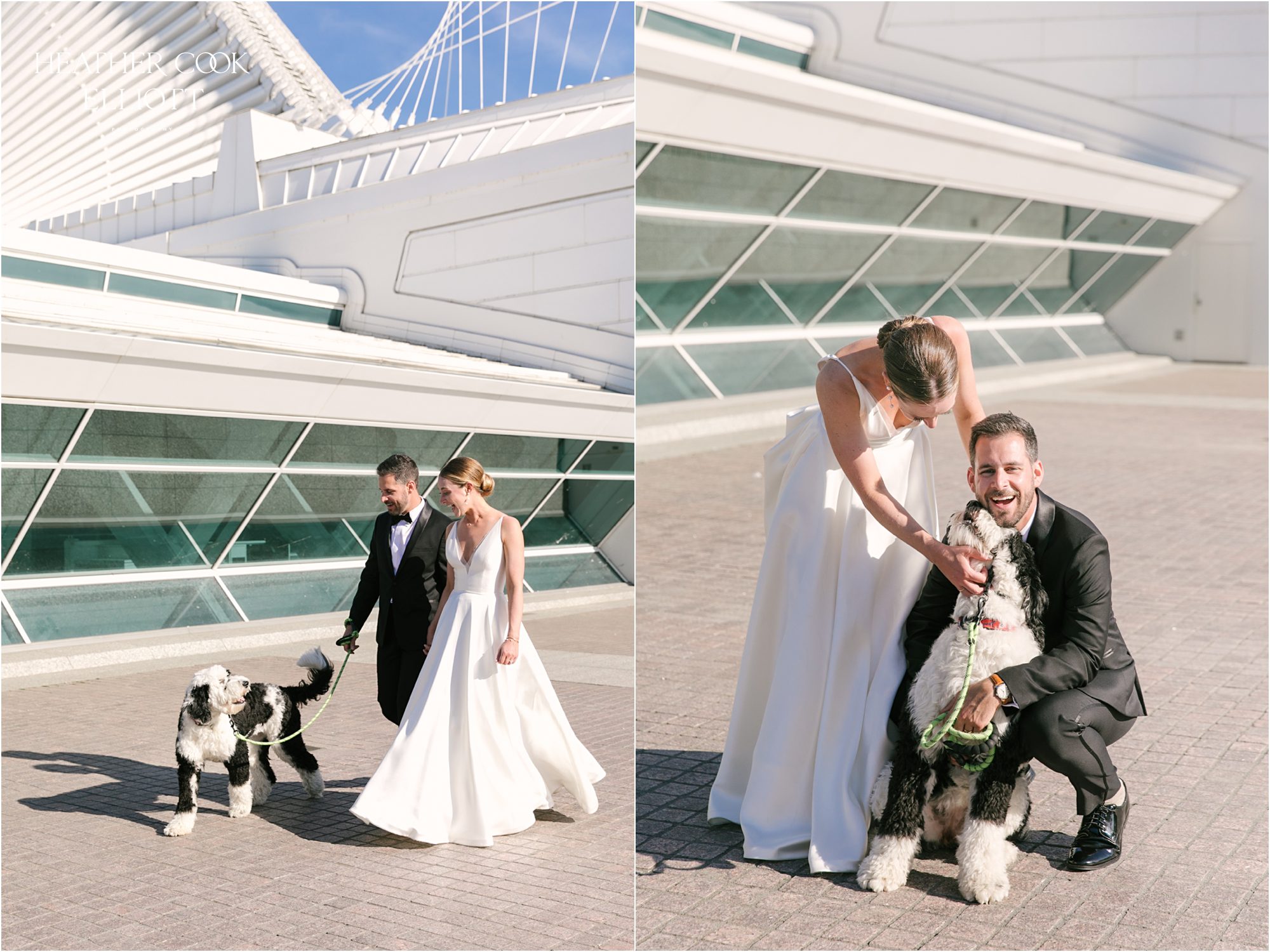 milwaukee art museum wedding reception with dog!