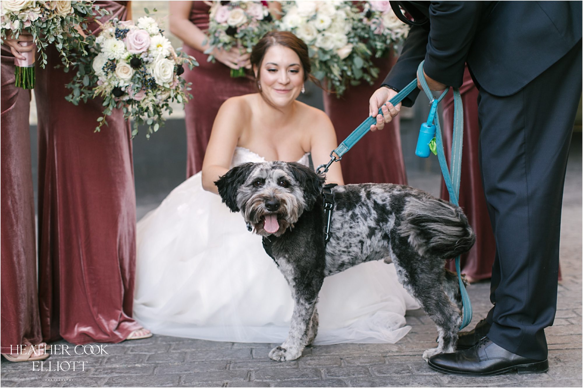 pritzlaff fall wedding reception wedding portraits with dog