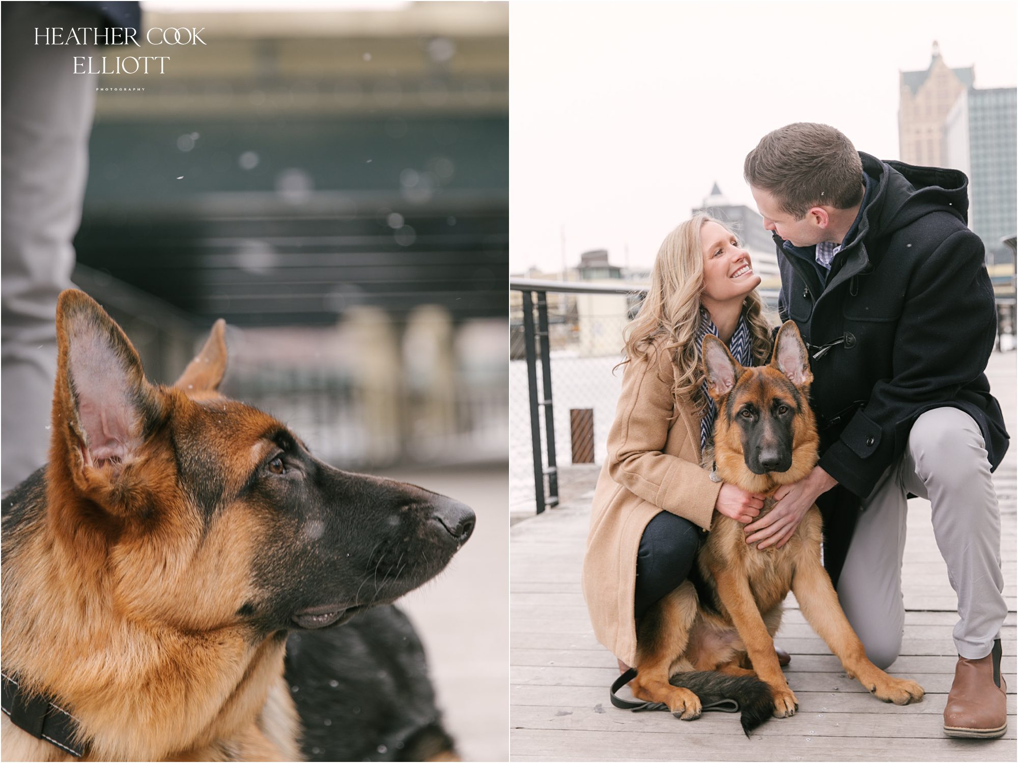 third ward winter engagement with dog