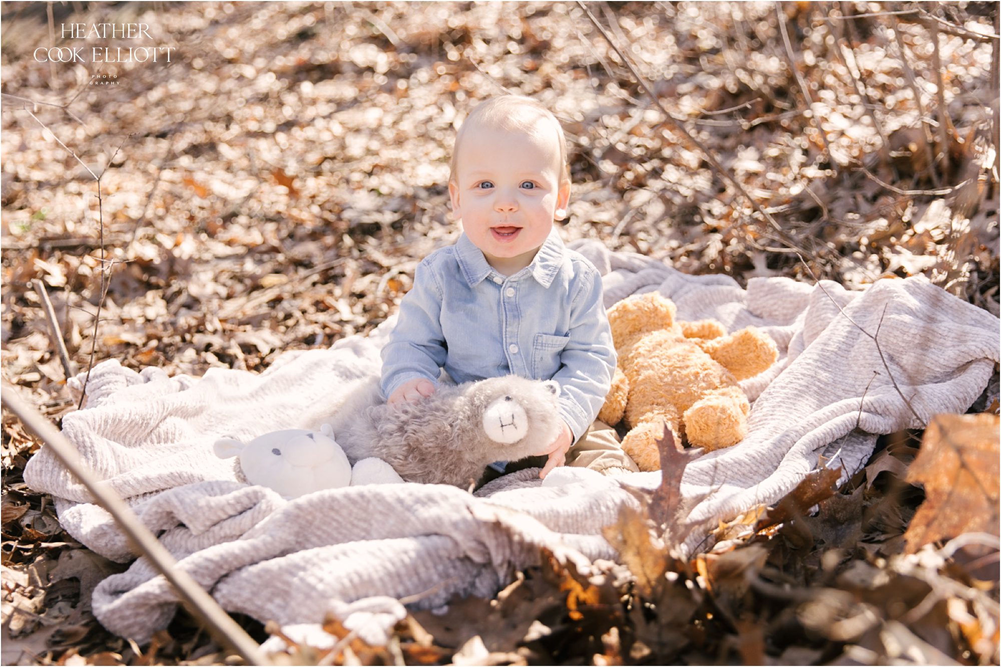 oconomowoc family photographer 6 month old
