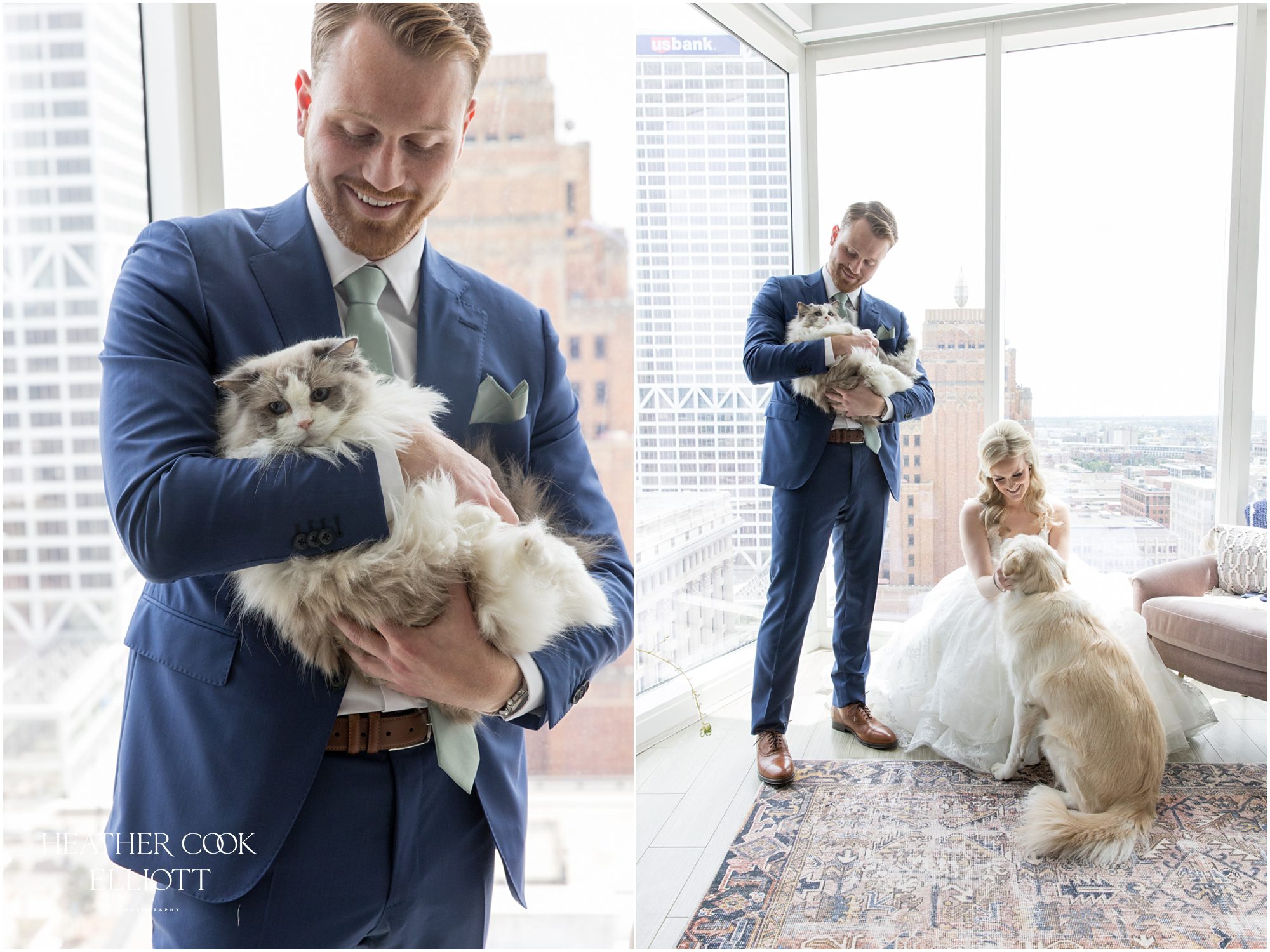 milwaukee wedding cats and dogs